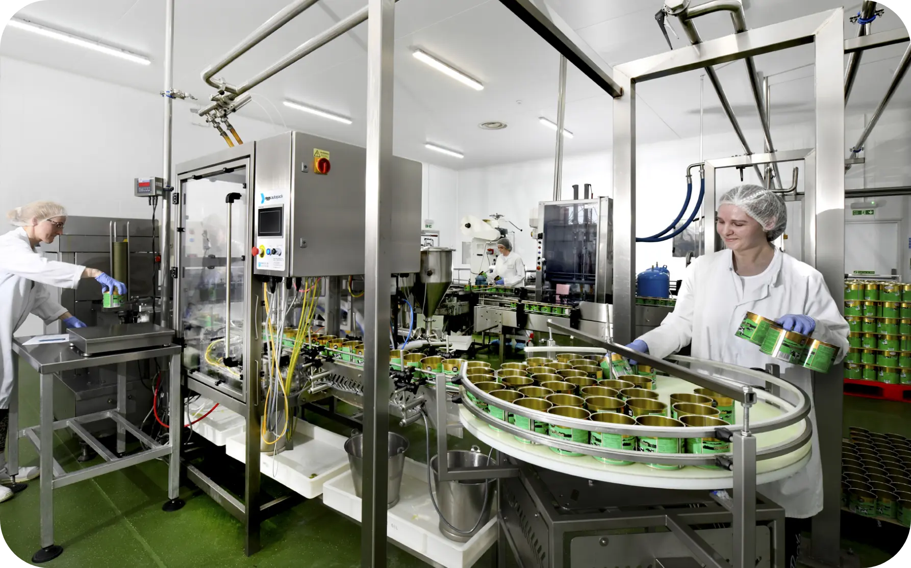 Dairy fats image one Dairy fats at County Milk Products