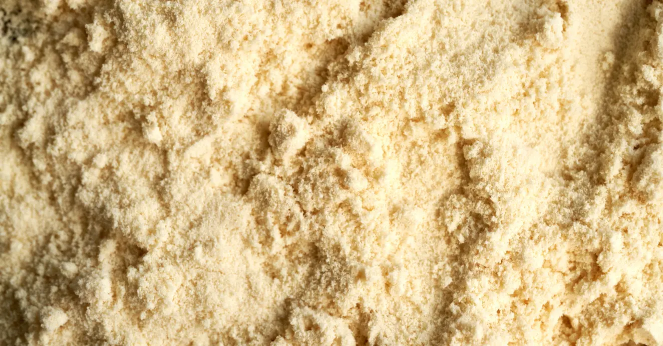 Animal nutrition homepage image