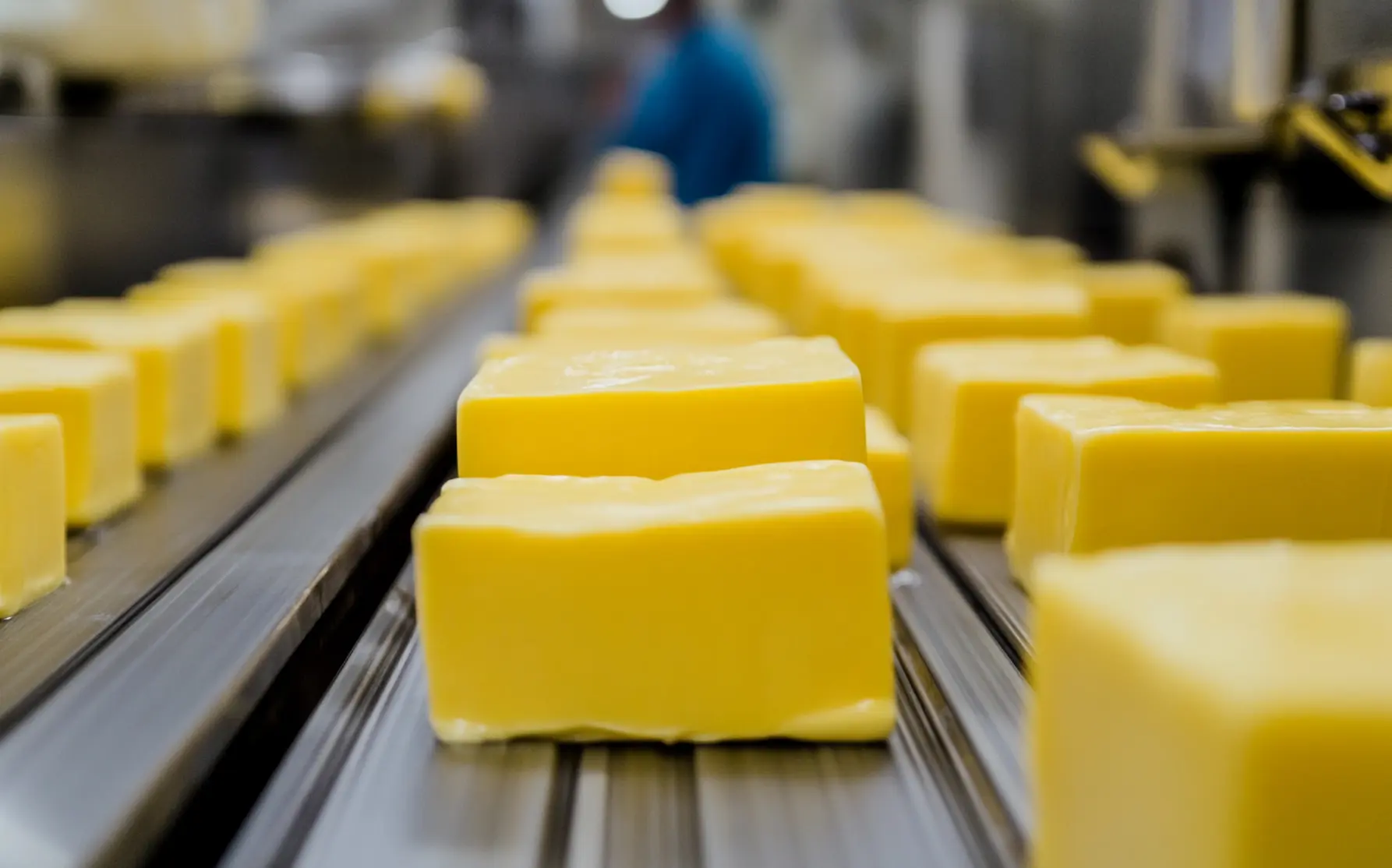 Freshly-churned creamery butter Dairy fats factory at County Milk Products