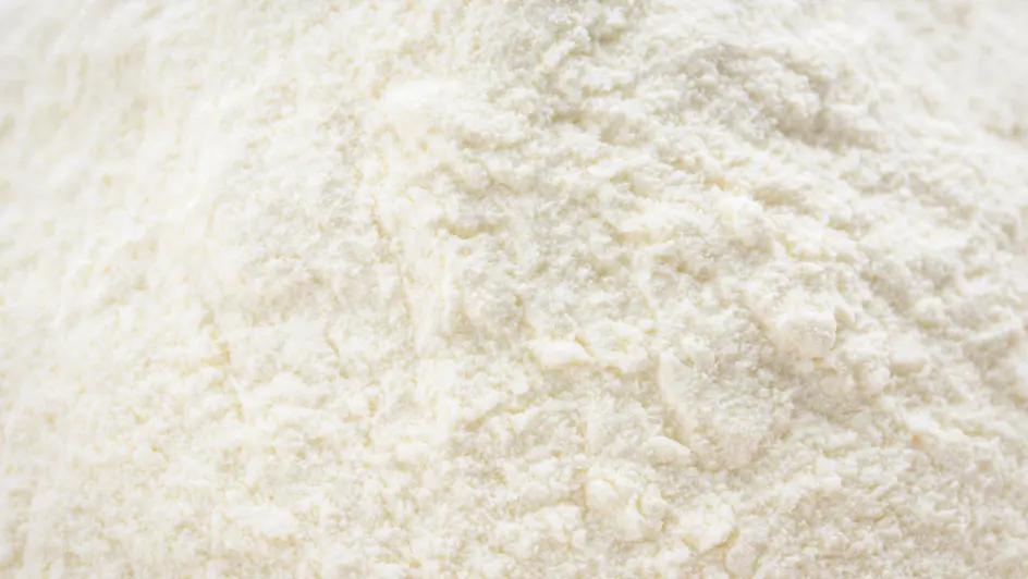 Homepage Image Dairy powders