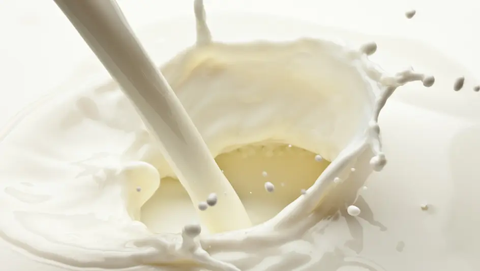 Homepage Image Liquid dairy ingredients